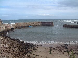 Cove