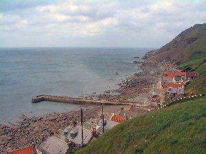 Crovie