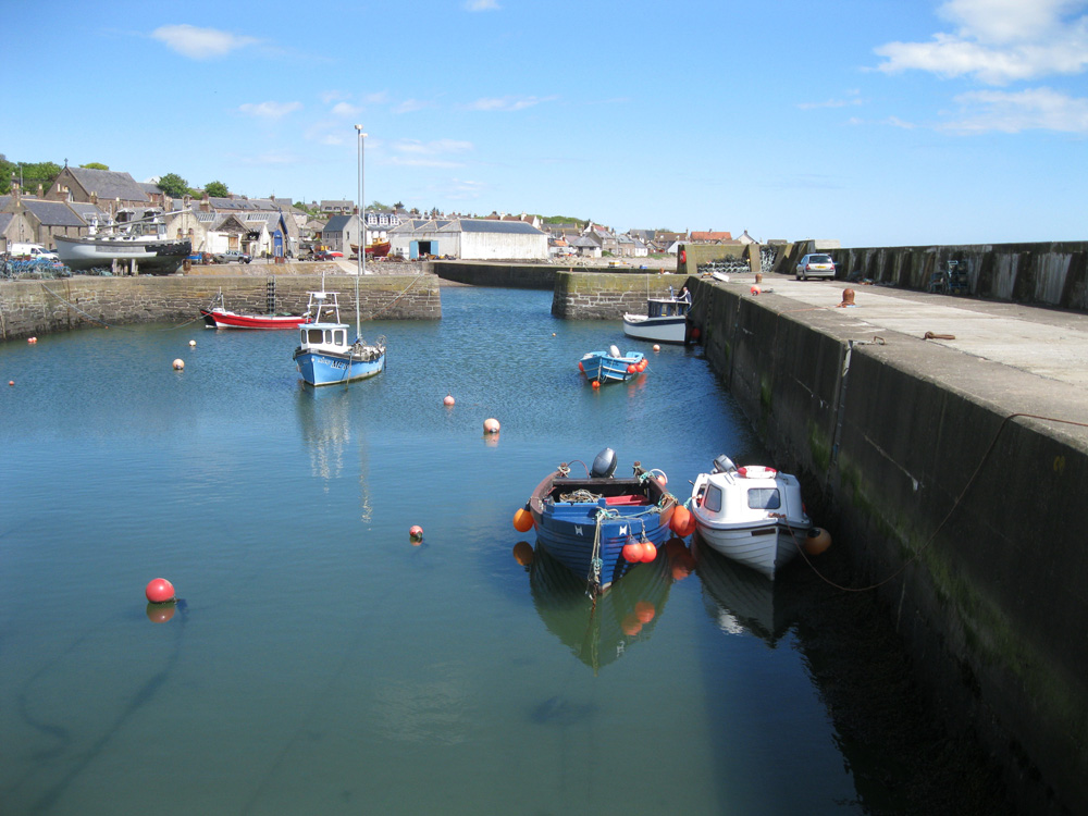 Johnshaven