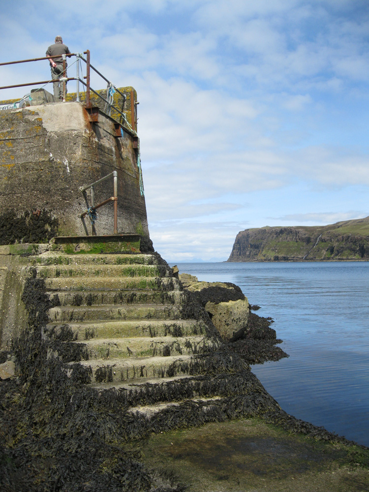 Meanish (Loch Pooltiel)