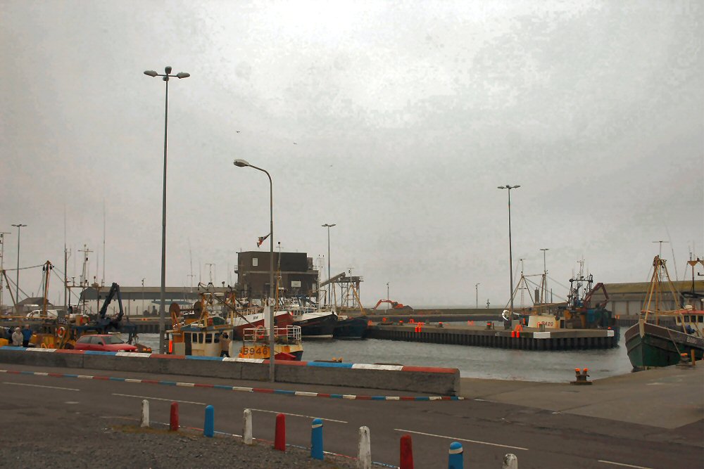 Portavogie