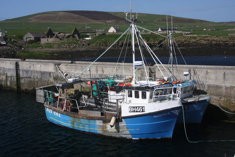 Tingwall