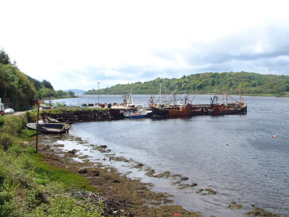 West Loch Tarbert (Argyll)
