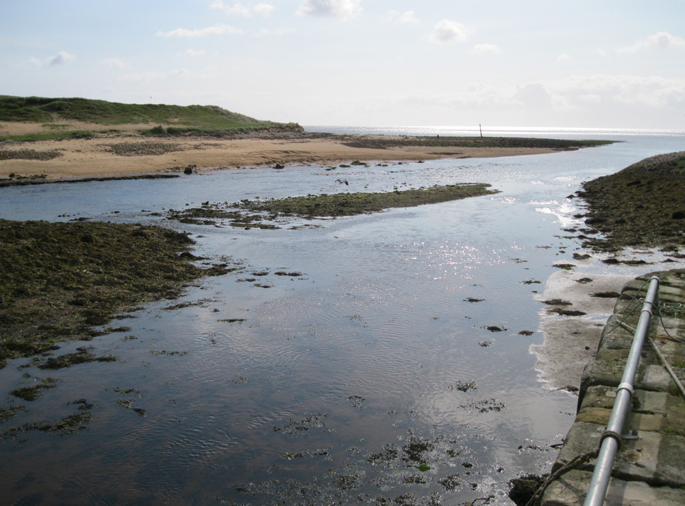 Brora