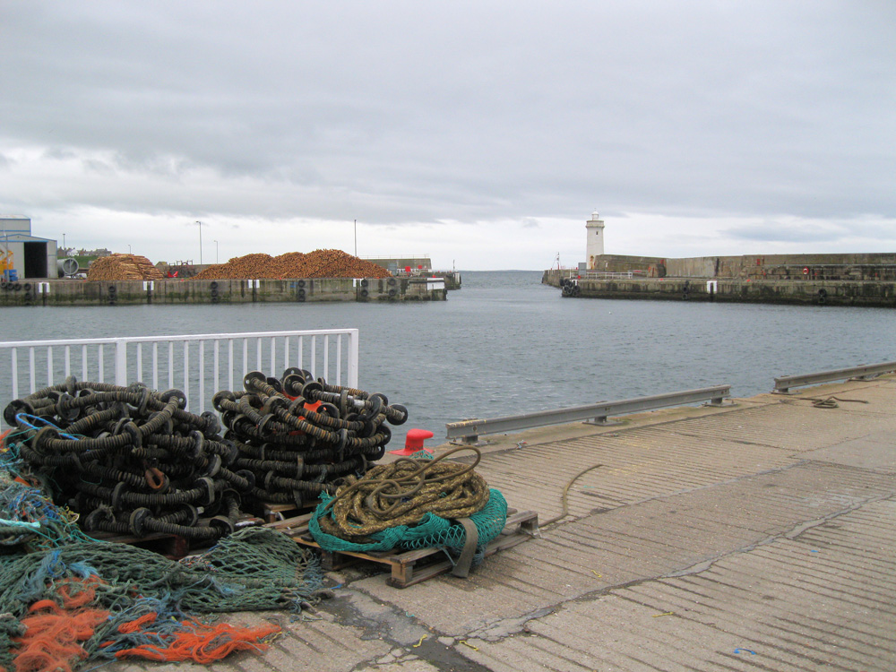 Buckie