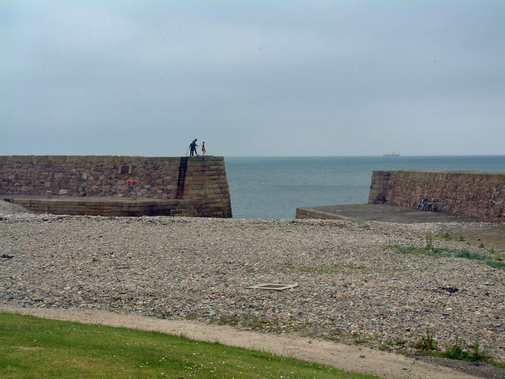 Buckpool