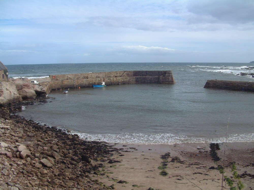 Cove
