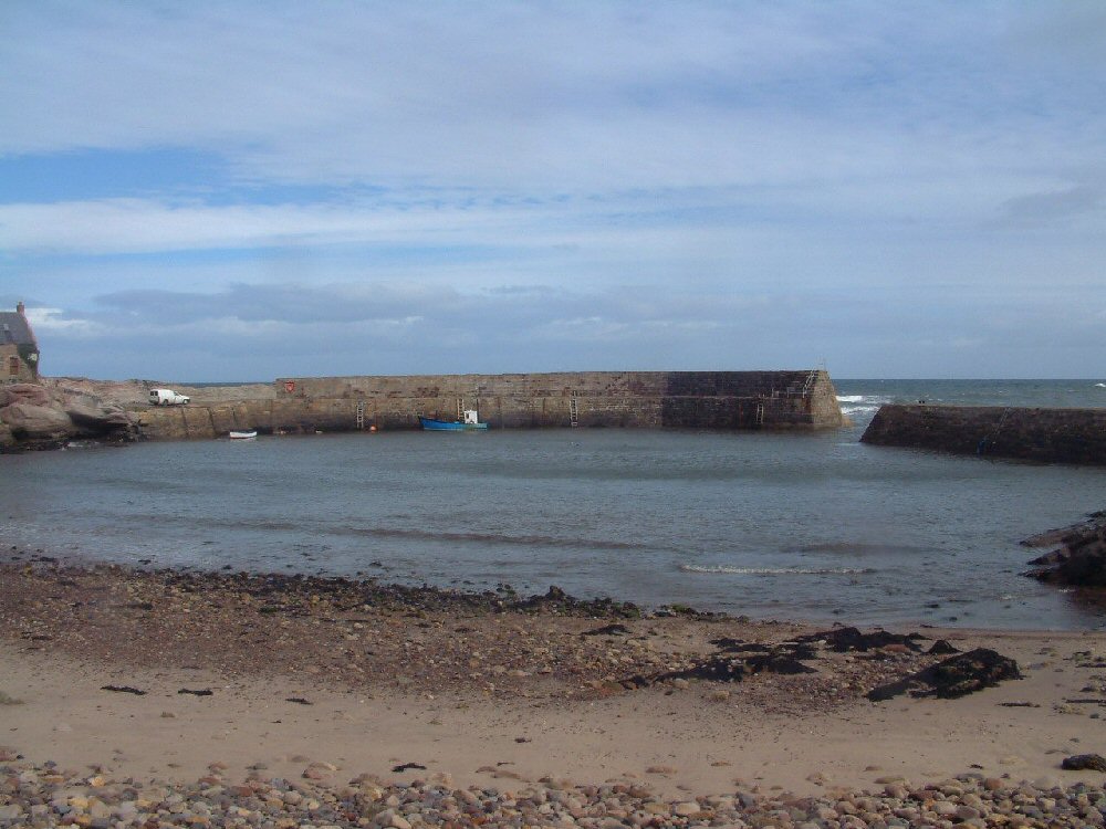 Cove