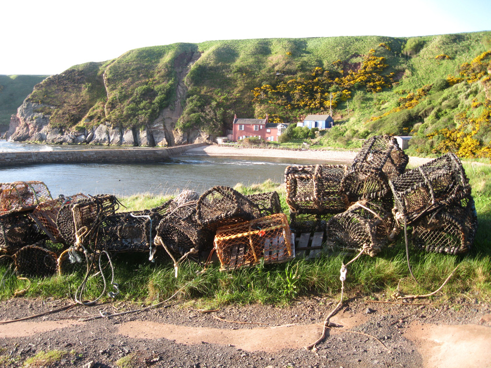 Cove