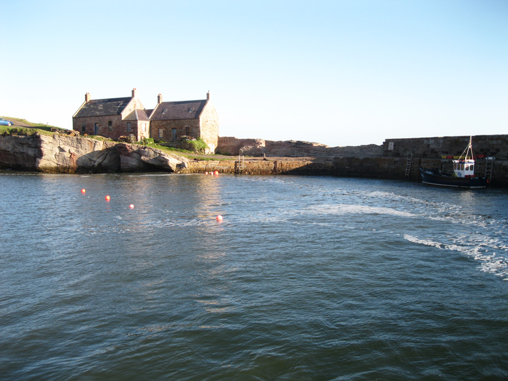Cove