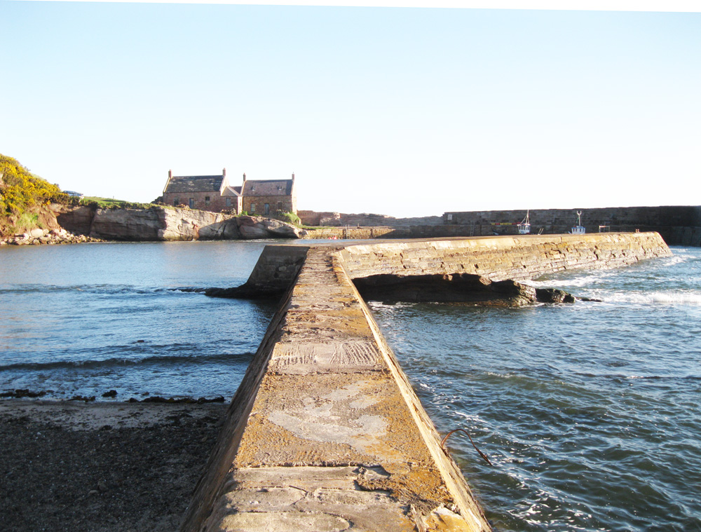 Cove