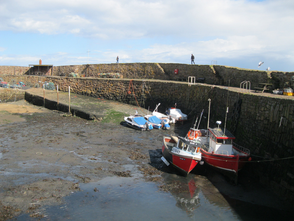 Crail
