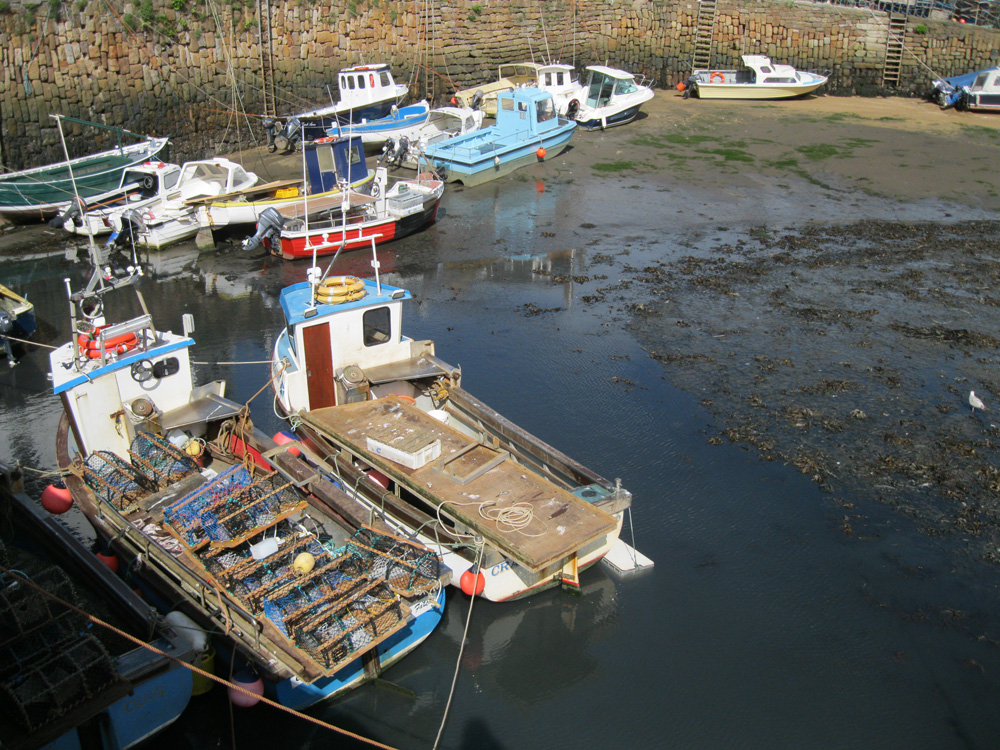 Crail