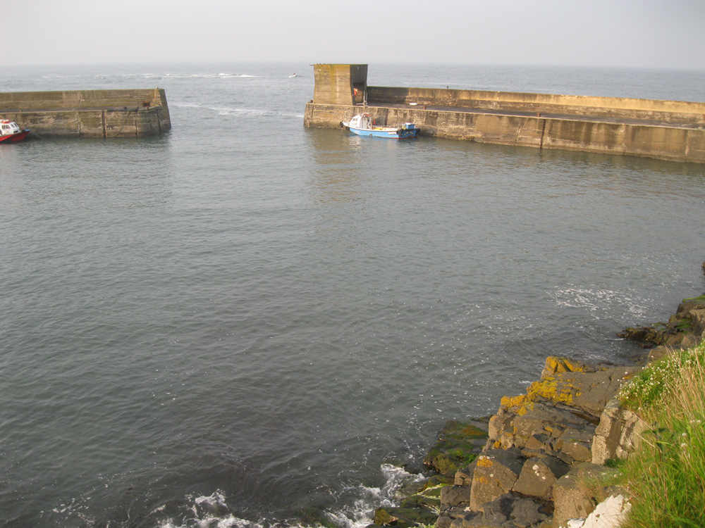 Craster