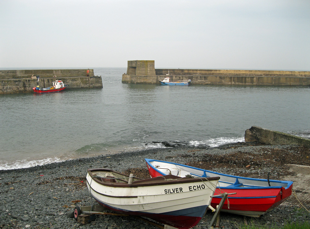 Craster