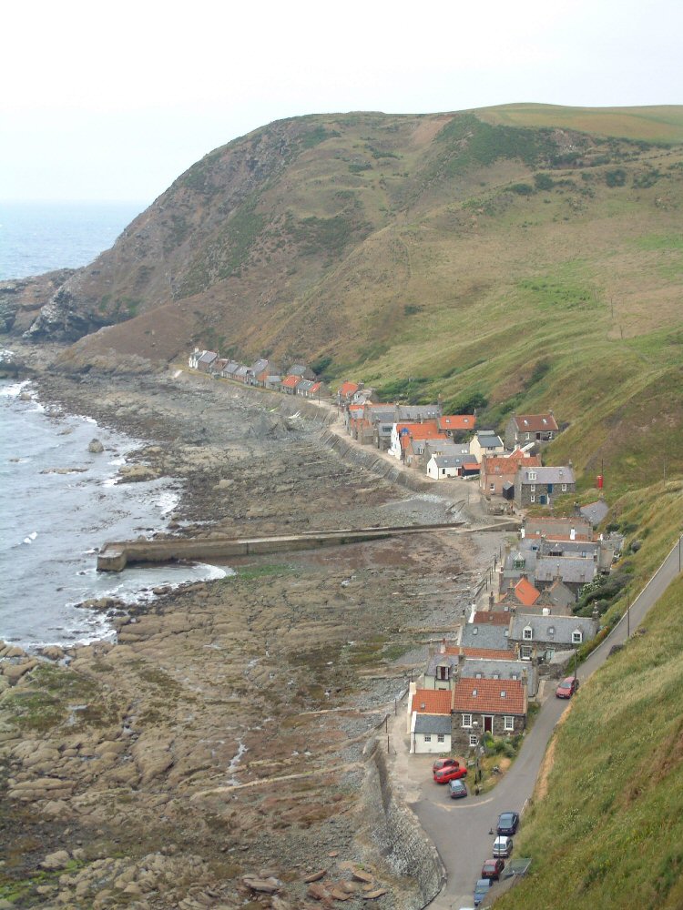 Crovie