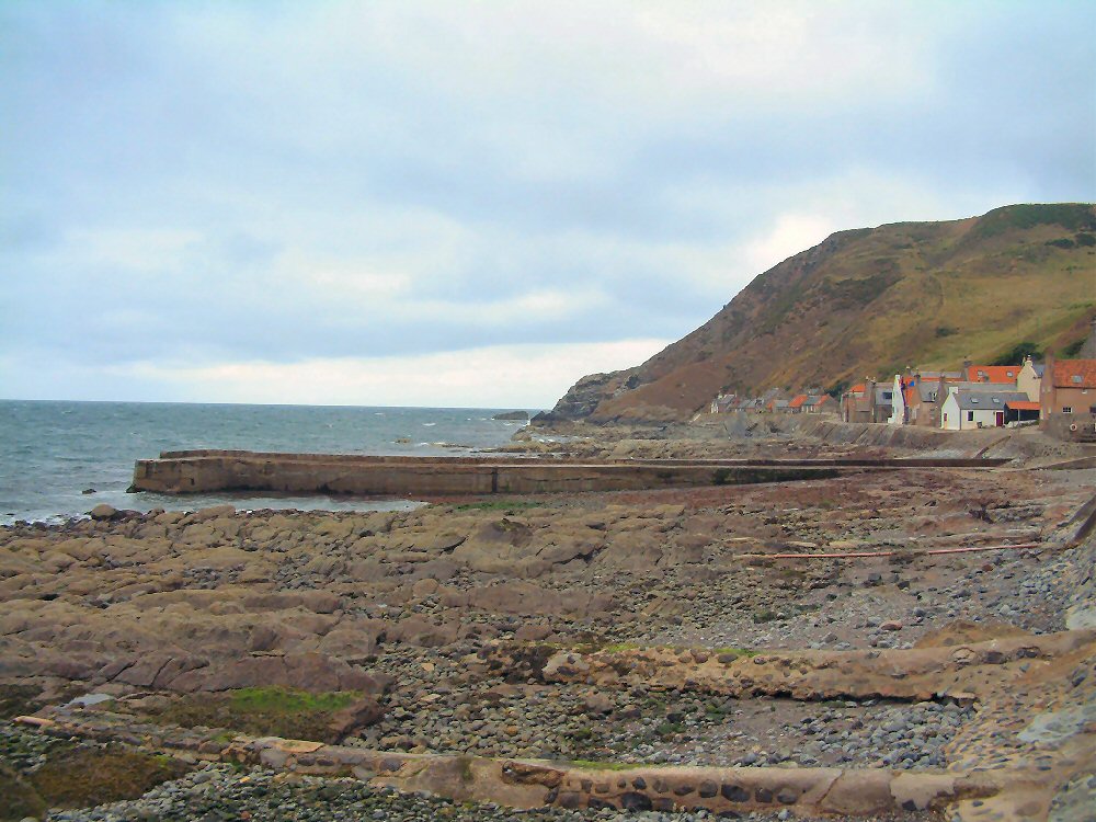 Crovie