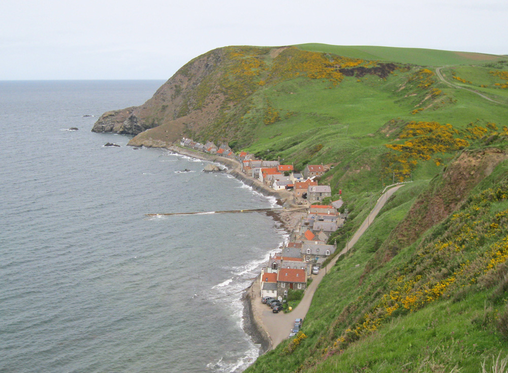 Crovie