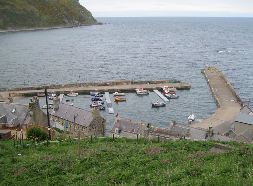 Gardenstown