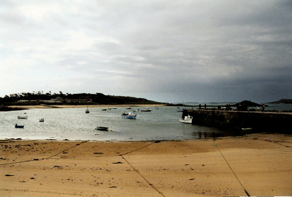 New Grimsby