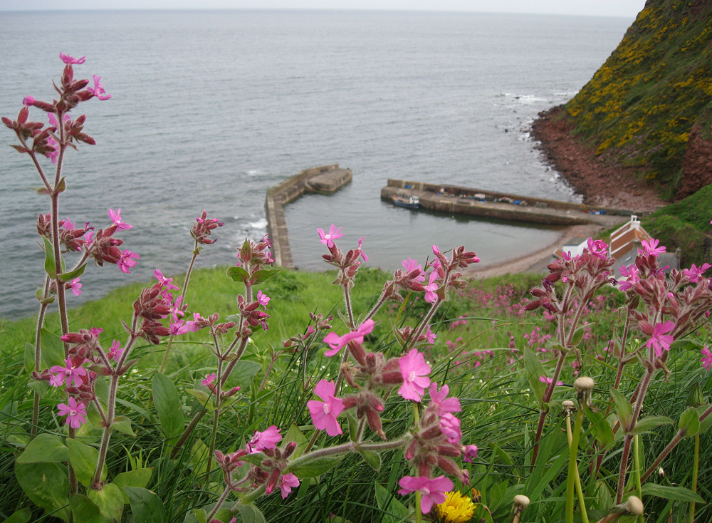 Pennan