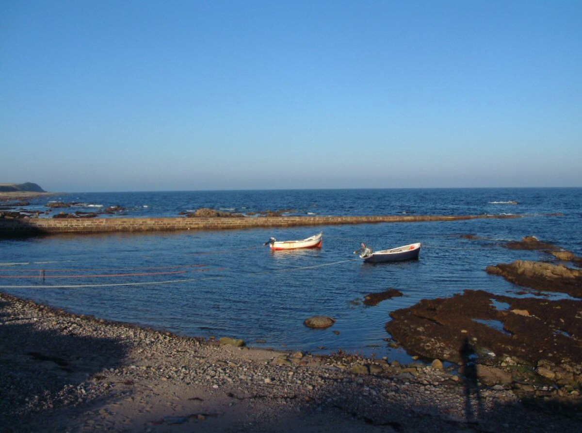 Rockfield