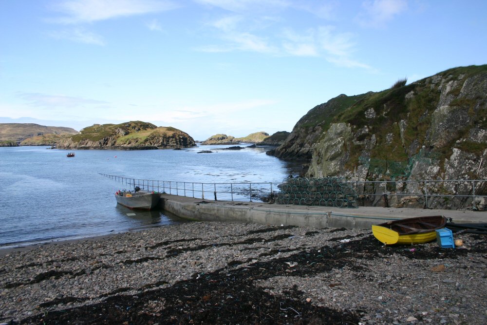 Tarbet
