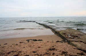 Whiting Bay